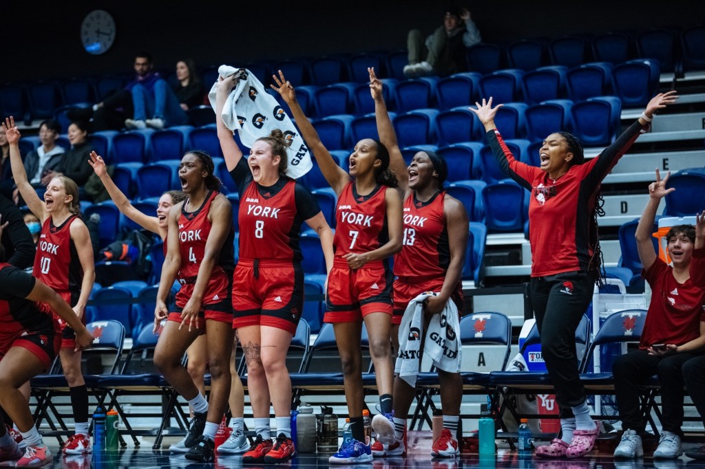 Analyzing the York Lions 2023 roster